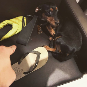 日韩日韩女性交做爱视频免费看
